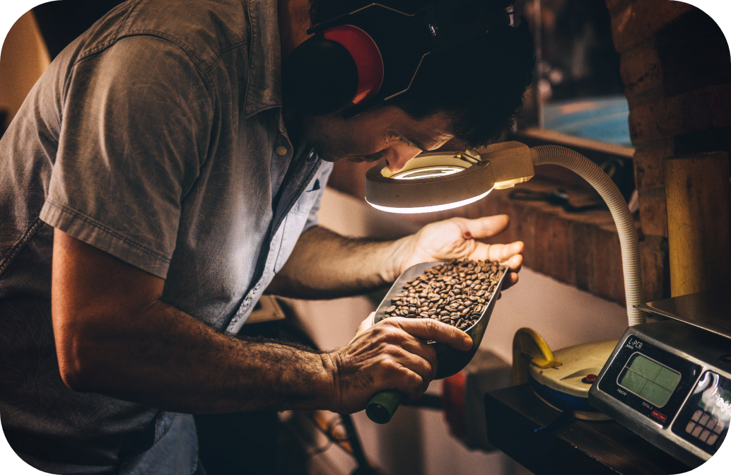 Man examining coffee beans